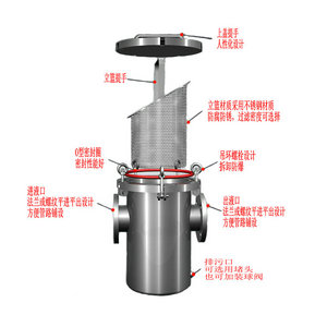 直通篮式过滤器示意图